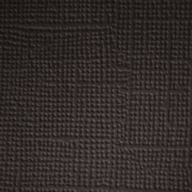 Beetle Black Doodlebug Designs Textured Cardstock 12x12