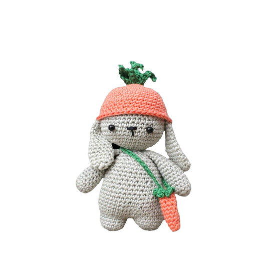 Frank Rabbit - DIY Crochet Kit  - Handicraft USA