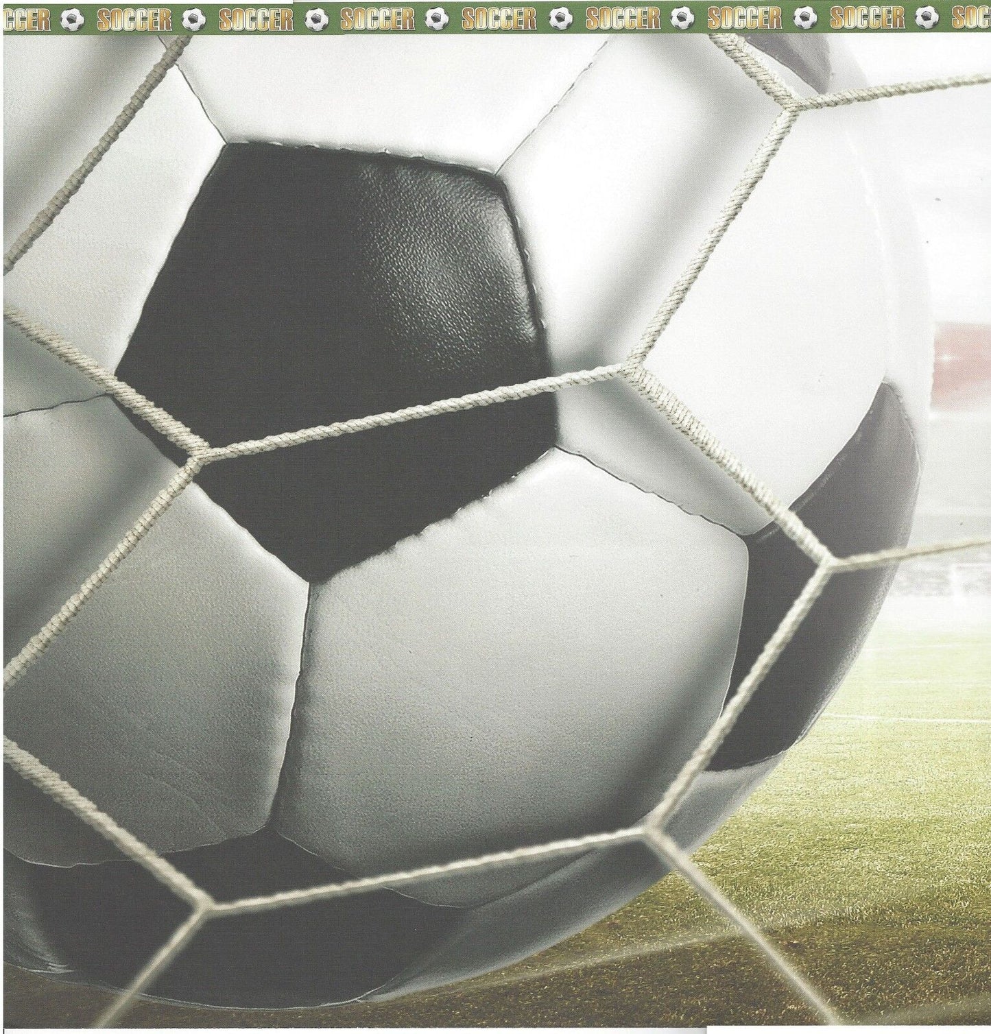 Goal! 12x12 Double Sided Scrapbook Paper - Reminisce