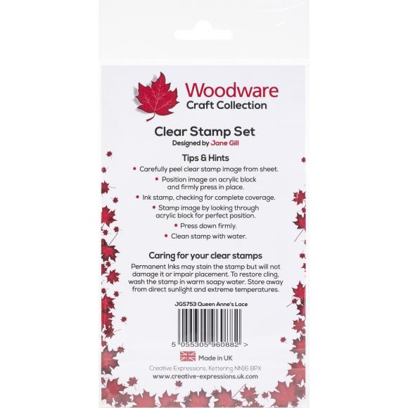 Queen Anne's Lace 4x6 Clear Stamp Set Woodware Craft Collections - Creative Expressions