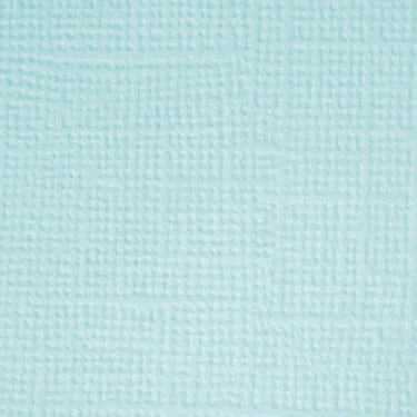 Pistachio Dodlebug Designs Textured Cardstock
