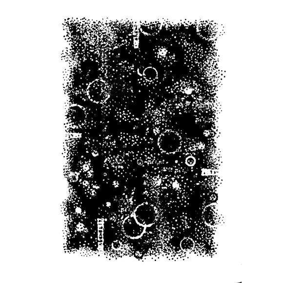 Singles Mini Texture Background Stamp 3x4 Woodware Craft Collections - Creative Expressions