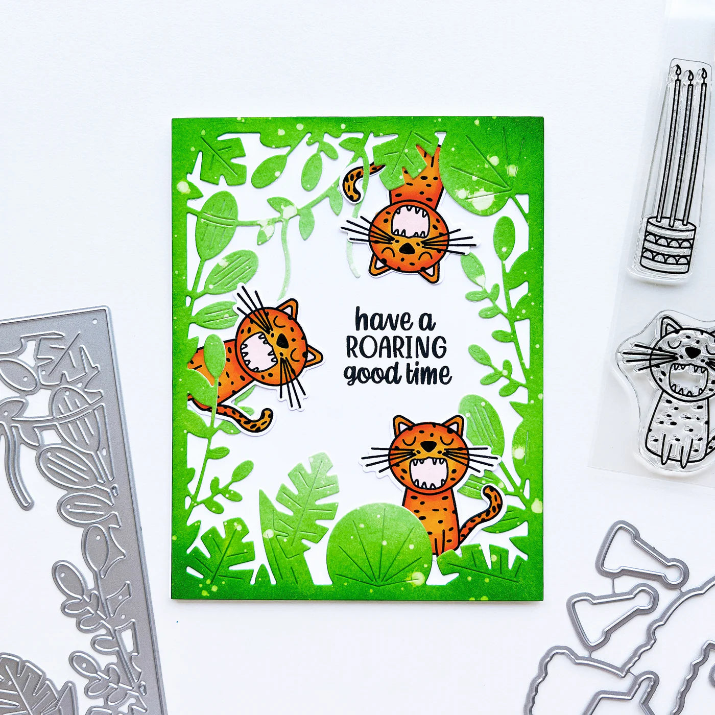 Birthday Fiesta Clear Stamp Set Catherine Pooler