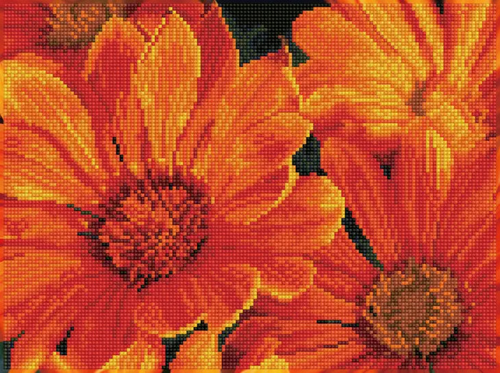 Delosperma in Bloom Diamond Painting Art Kit by Diamond Dotz