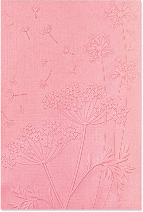 Sizzix 3D Embossing Folder Summer Wishes Textured Impressions A6