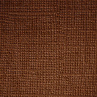 Chocolate Chip Dodlebug Designs Textured Cardstock 12x12