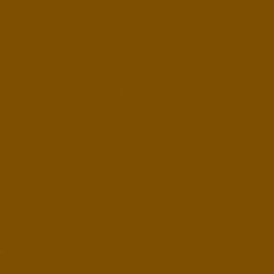 Core'dinations Core Foundations Mocha Divine Cardstock 12x12