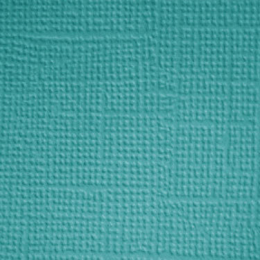 Dolphin Textured Cardstock Doodlebug