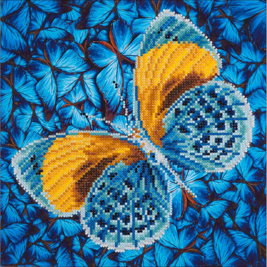 Flutter by Gold Diamond Painting Art Kit Diamond Dotz