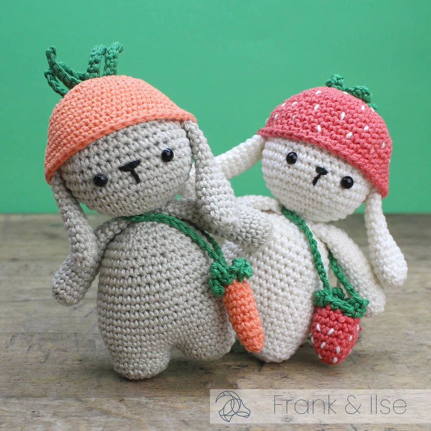 Frank Rabbit - DIY Crochet Kit  - Handicraft USA