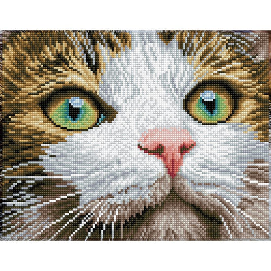 Green Eyed Beauty Kitty Cat Diamond Painting Art Kit Diamond Dotz