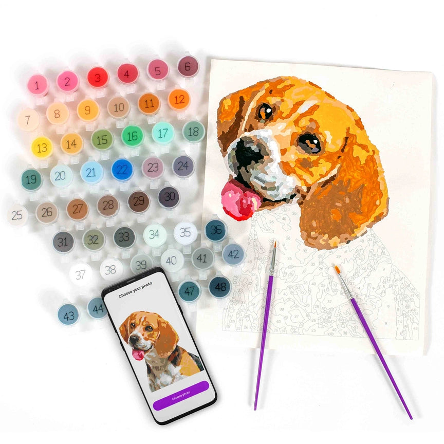 Pet Edition - Paint Your Photo by Number Kit