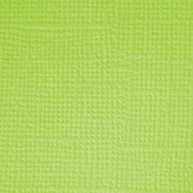 Limeade Textured Cardstock Doodlebug