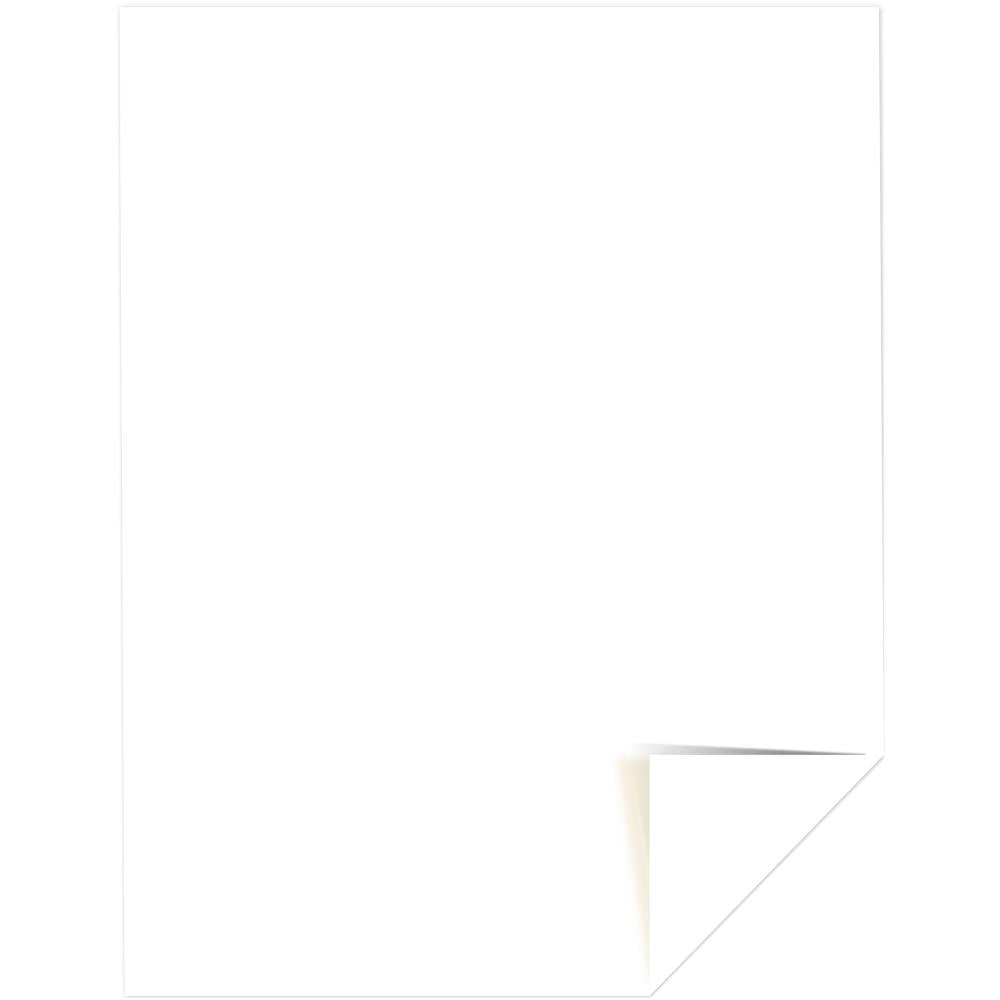 Catherine Pooler Designs - Cardstock - 8.5 x 11 - 20 Sheets
