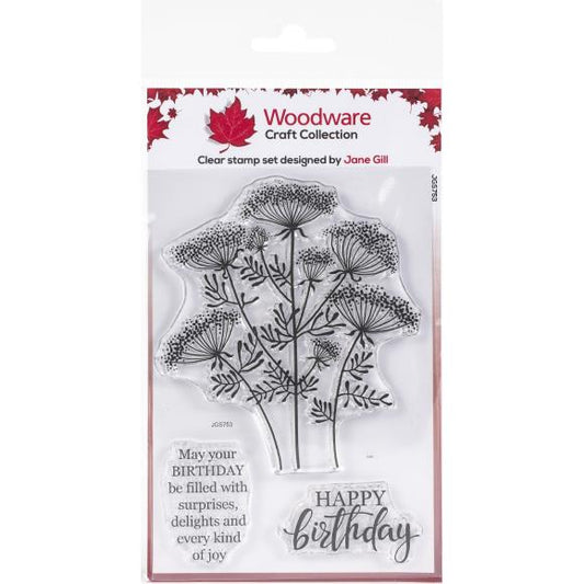 Queen Anne's Lace 4x6 Clear Stamp Set Woodware Craft Collections - Creative Expressions