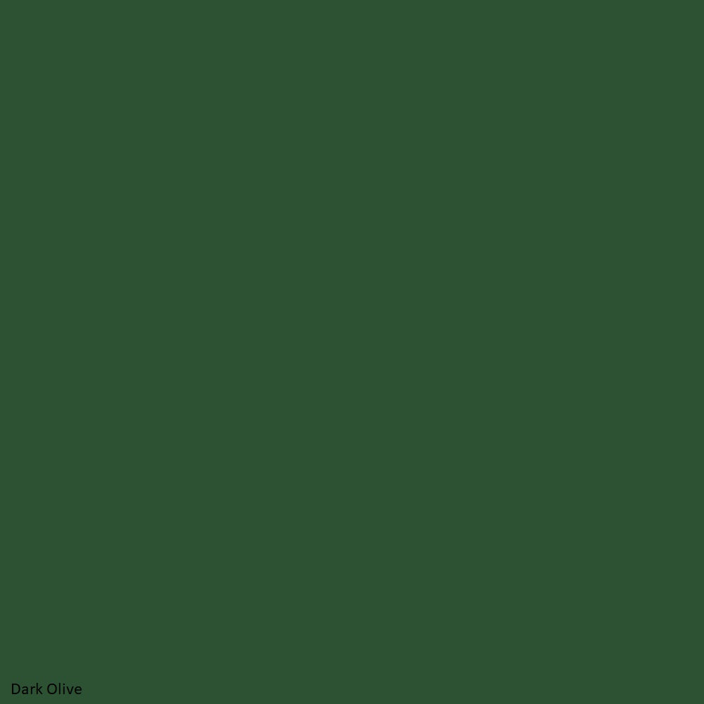 Bazzill Basics Dark Olive Smoothies Cardstock 12x12