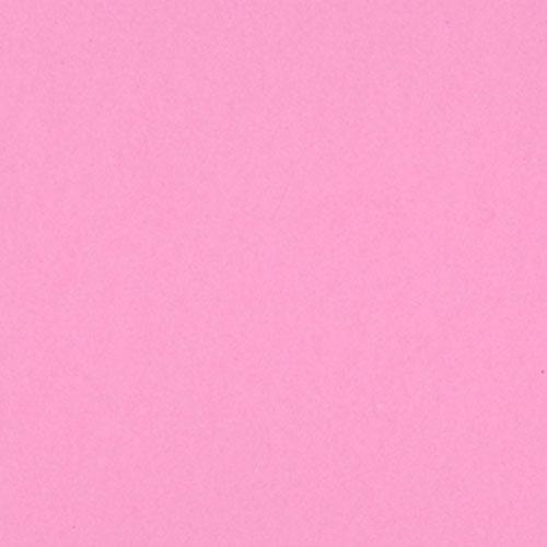 Bazzill Guava Sensation Smoothies Cardstock 12x12 302211