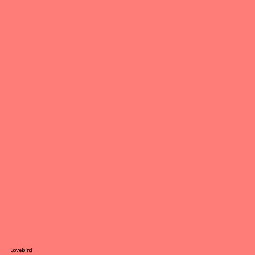 Bazzill Basics Lovebird Smoothies Cardstock 12x12 Scrapbook Paper