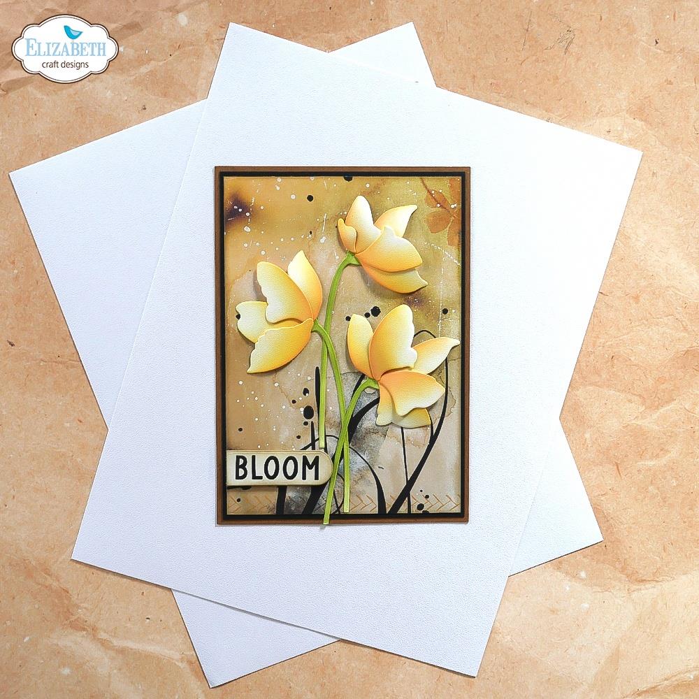 Elizabeth Craft Soft Finish Cardstock 8.5"X11" 25/Pkg