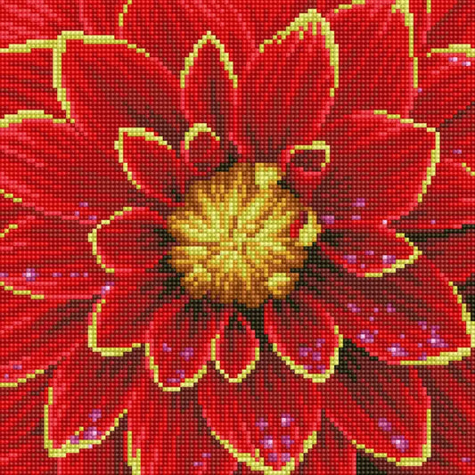 Dahlia Diamond Painting Art Kit by Diamond Dotz