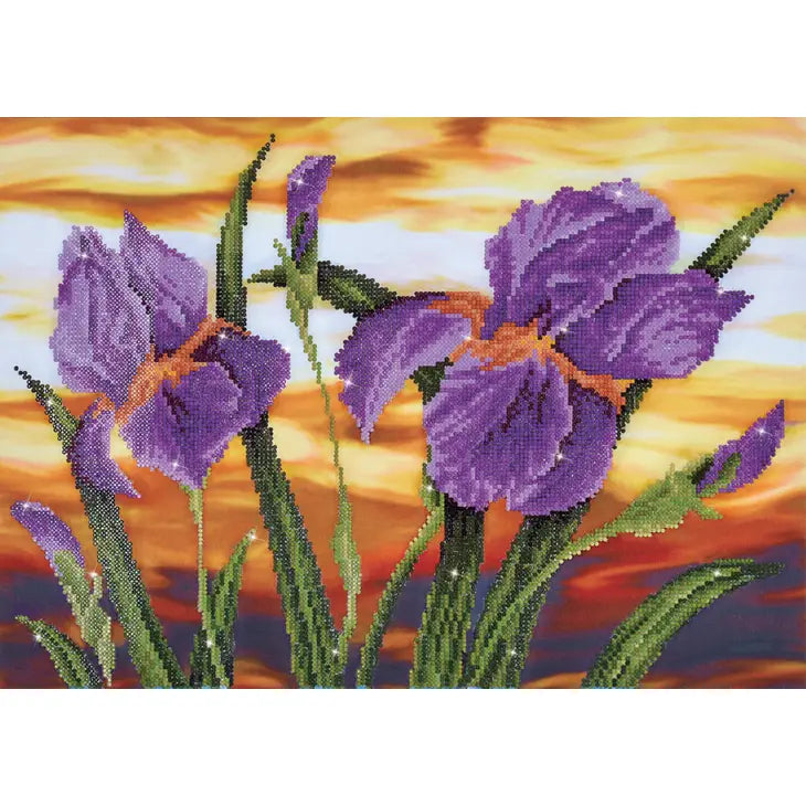 Iris Sunset Diamond Dotz Painting Art Kit
