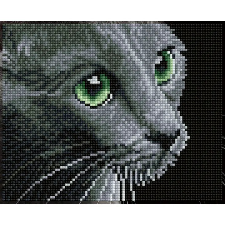 Smokey Grey Cat Diamond Dotz Painting Art Kit